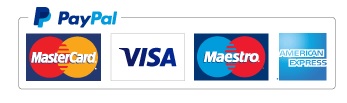 Paypal payment logo